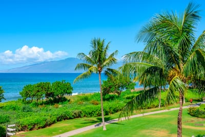 Lush green lawns, tropical palms, and endless ocean horizons create a serene, postcard-perfect Maui escape HKH-201