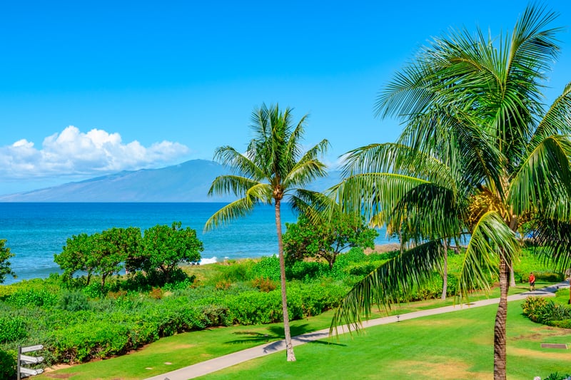 Lush green lawns, tropical palms, and endless ocean horizons create a serene, postcard-perfect Maui escape HKH-201