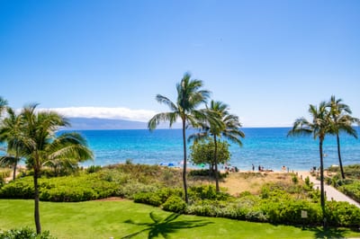Where the ocean meets the tropics—gaze out at a picture-perfect view of the beach and coconut trees HKH-201