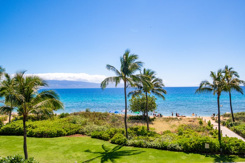 Where the ocean meets the tropics—gaze out at a picture-perfect view of the beach and coconut trees HKH-201