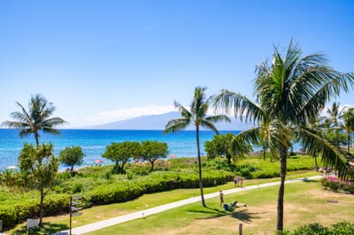 Surround yourself with nature’s beauty—crystal-clear beaches, lush landscapes, and iconic Hawaiian palms HKH-201