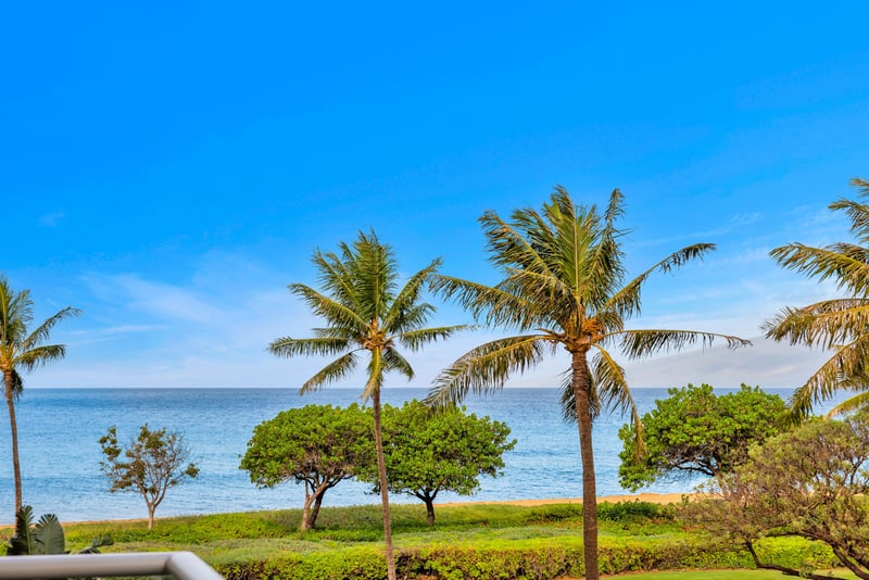 Partial ocean view framed by swaying palms and lush landscaping—your lanai is perfect for morning coffee or sunset drinks.