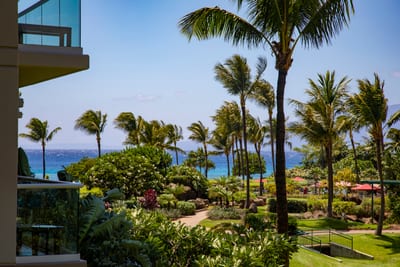 Tropical paradise right outside your window, with ocean waves beyond HKH-238