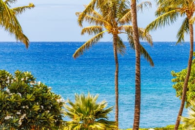 Sweeping ocean views framed by palms bring Maui’s shoreline front and center. HKH-305