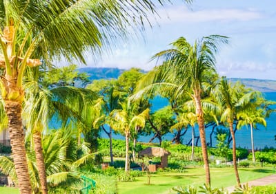 Wake up to lush gardens, swaying palms, and ocean blues—your daily view in this tropical Maui paradise HKH-318