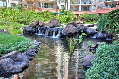 Peaceful garden pond with cascading waterfall and koi fish surrounded by tropical greenery and walkways