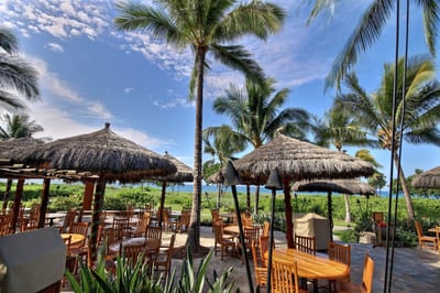 Open-air dining with thatched umbrellas, tropical breezes, and island-inspired meals by the ocean