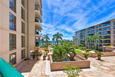 Lush outdoor courtyard with palm trees, breezy walkways, and island-inspired architecture all around
