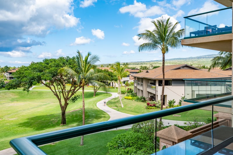 Wake to panoramic serenity framed by swaying palms and open skies