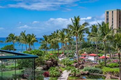 Paradise framed in palms and blue horizons