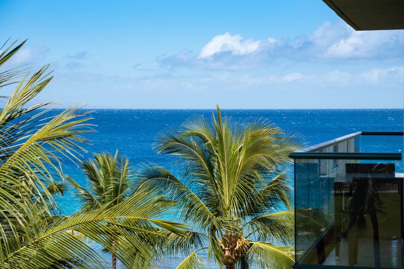 Ocean breeze, palm trees, endless blue—paradise found right here.