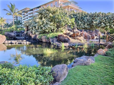 Peaceful koi pond surrounded by flowering trees, lava rock formations, and reflections of island beauty HKH-423