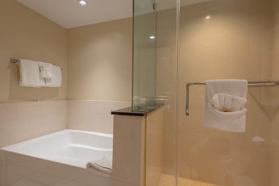 Luxury bathroom with soaking tub, glass walk-in shower, and polished finishes for spa-level comfort HKH-423