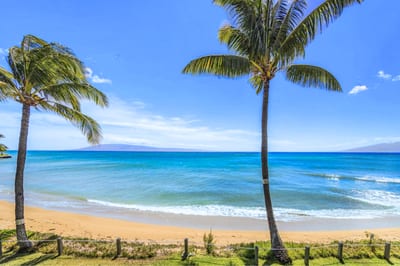 Welcome to Maui - Palm-lined shorelines and endless blue!