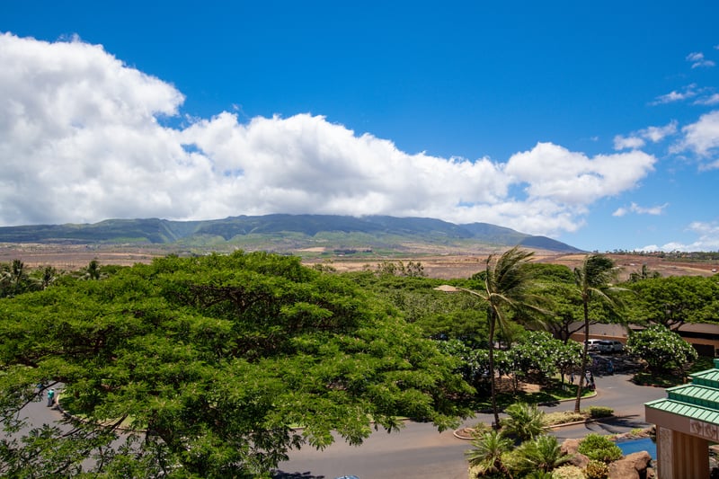 Wake up to sweeping mountain vistas and rustling palms