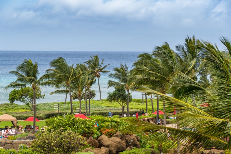 Gaze across swaying palm trees and vibrant resort gardens toward the blue Pacific from your luxury Maui condo lanai
