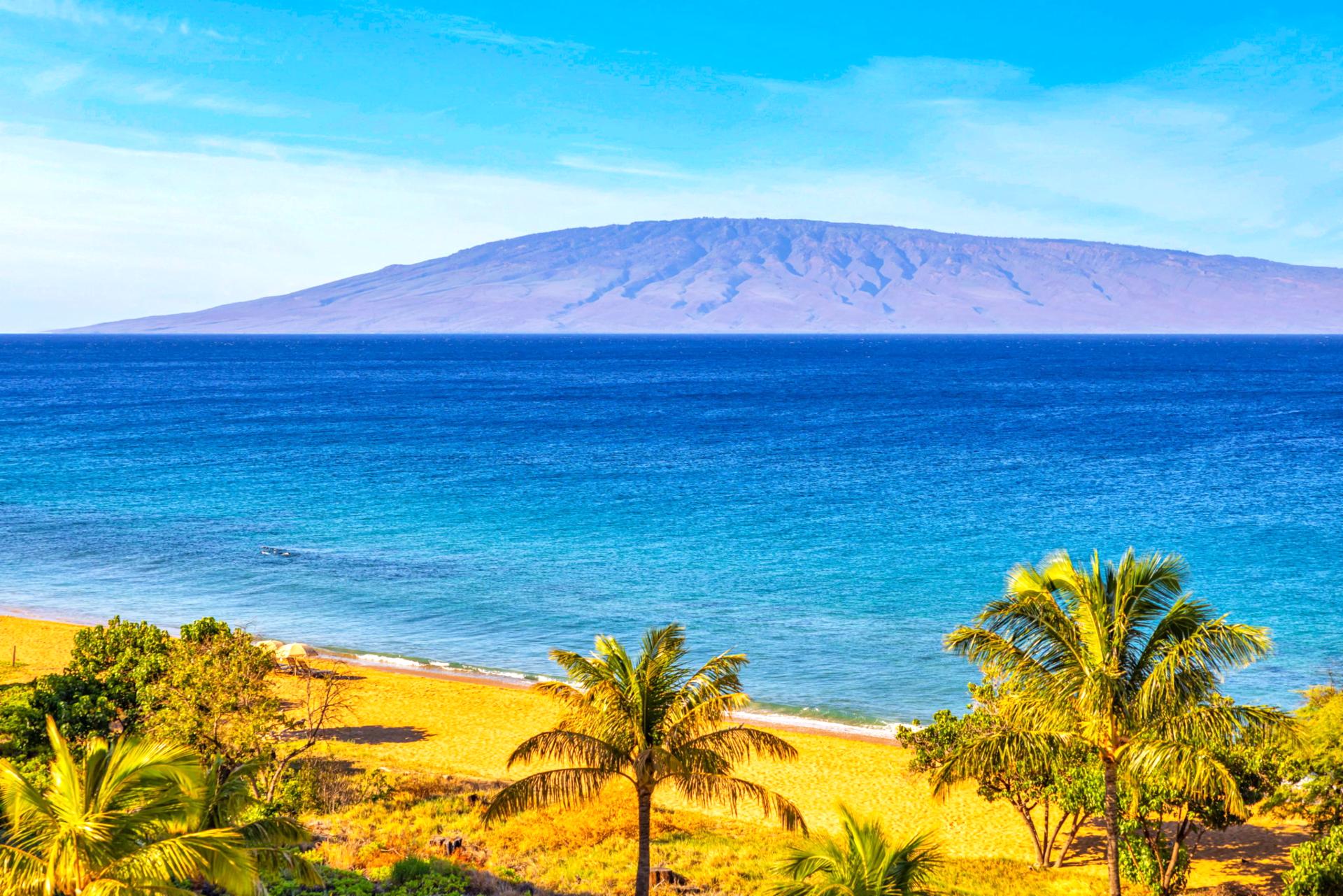 Spectacular ocean views stretch across the horizon from the comfort of your own balcony.