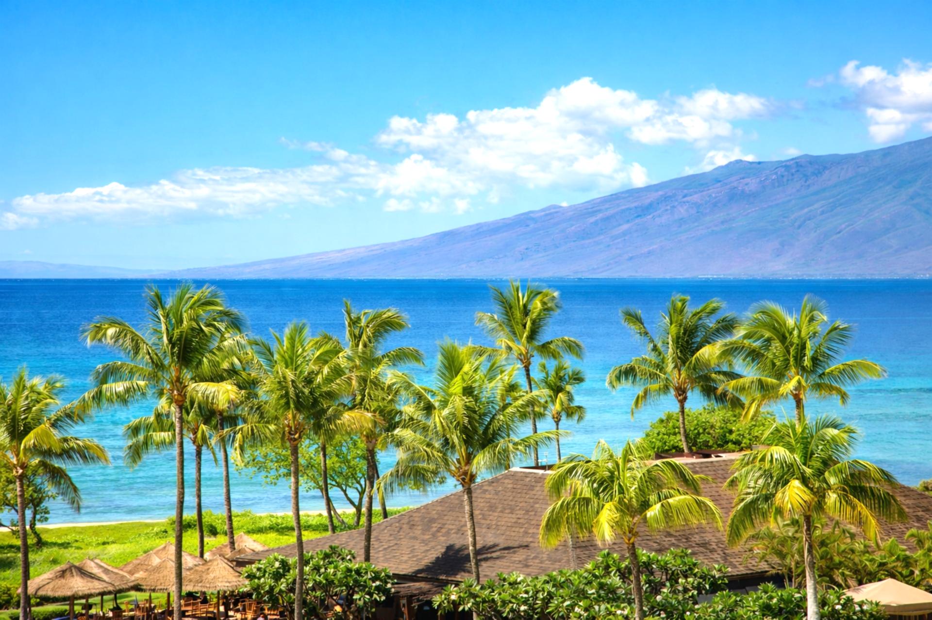 Palm trees frame sweeping ocean views across the resort grounds, offering a beautiful perspective of Maui’s coastline from above.