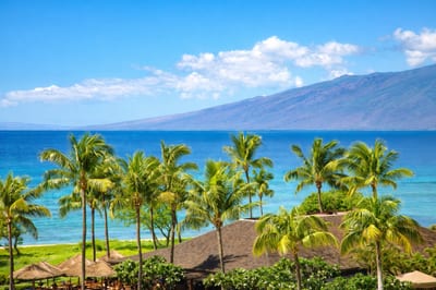 Palm trees frame sweeping ocean views across the resort grounds, offering a beautiful perspective of Maui’s coastline from above. HKH-515
