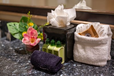 Enjoy spa-like touches in your private bath, complete with L’Occitane amenities and fresh island blooms. HKH-520