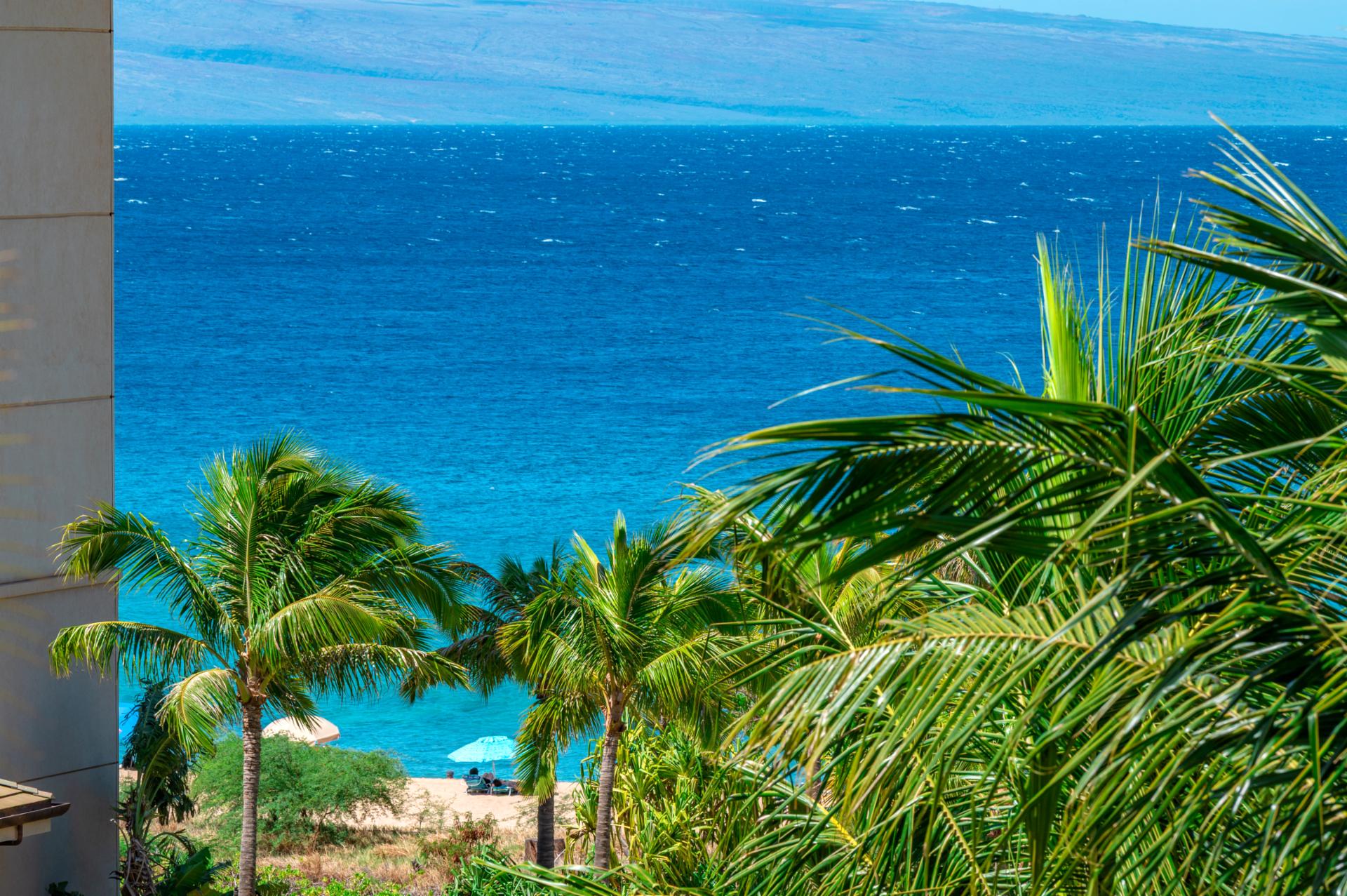 Gaze out at vibrant blue ocean and swaying palms, with beach access just steps away for sun-soaked days and shaded moments under your umbrella.