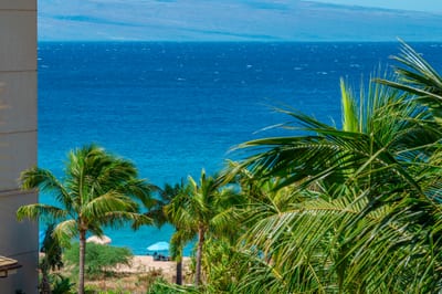 Gaze out at vibrant blue ocean and swaying palms, with beach access just steps away for sun-soaked days and shaded moments under your umbrella. HKH-520