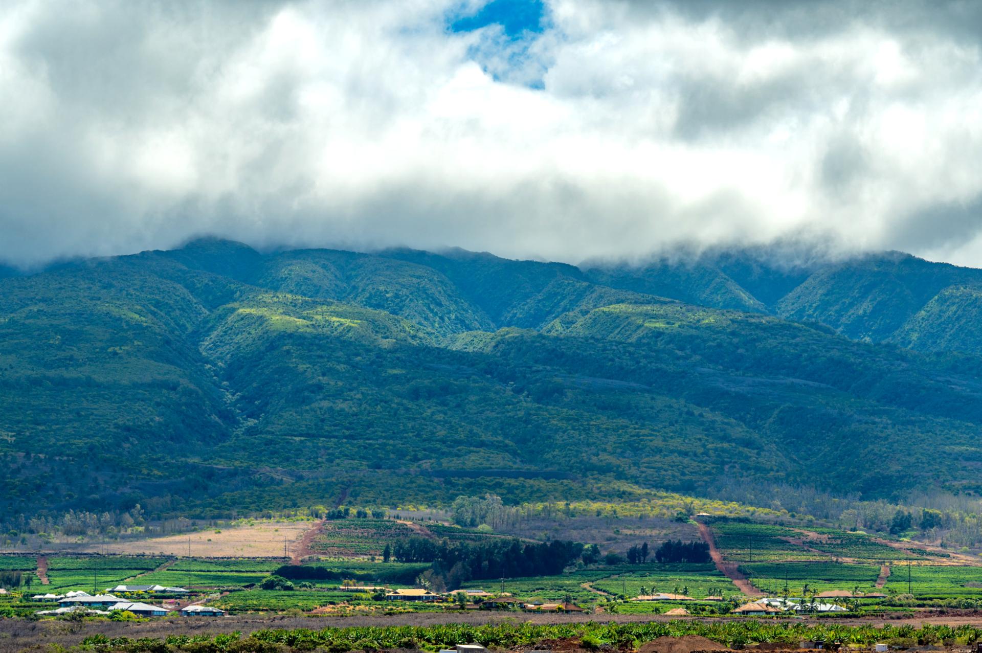 Take in sweeping views of lush West Maui mountains layered in mist and sunlight, a peaceful backdrop to your island escape.