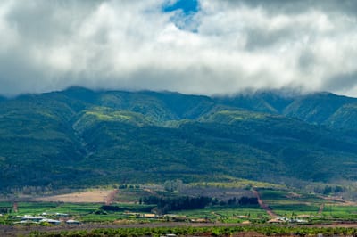 Take in sweeping views of lush West Maui mountains layered in mist and sunlight, a peaceful backdrop to your island escape. HKH-520