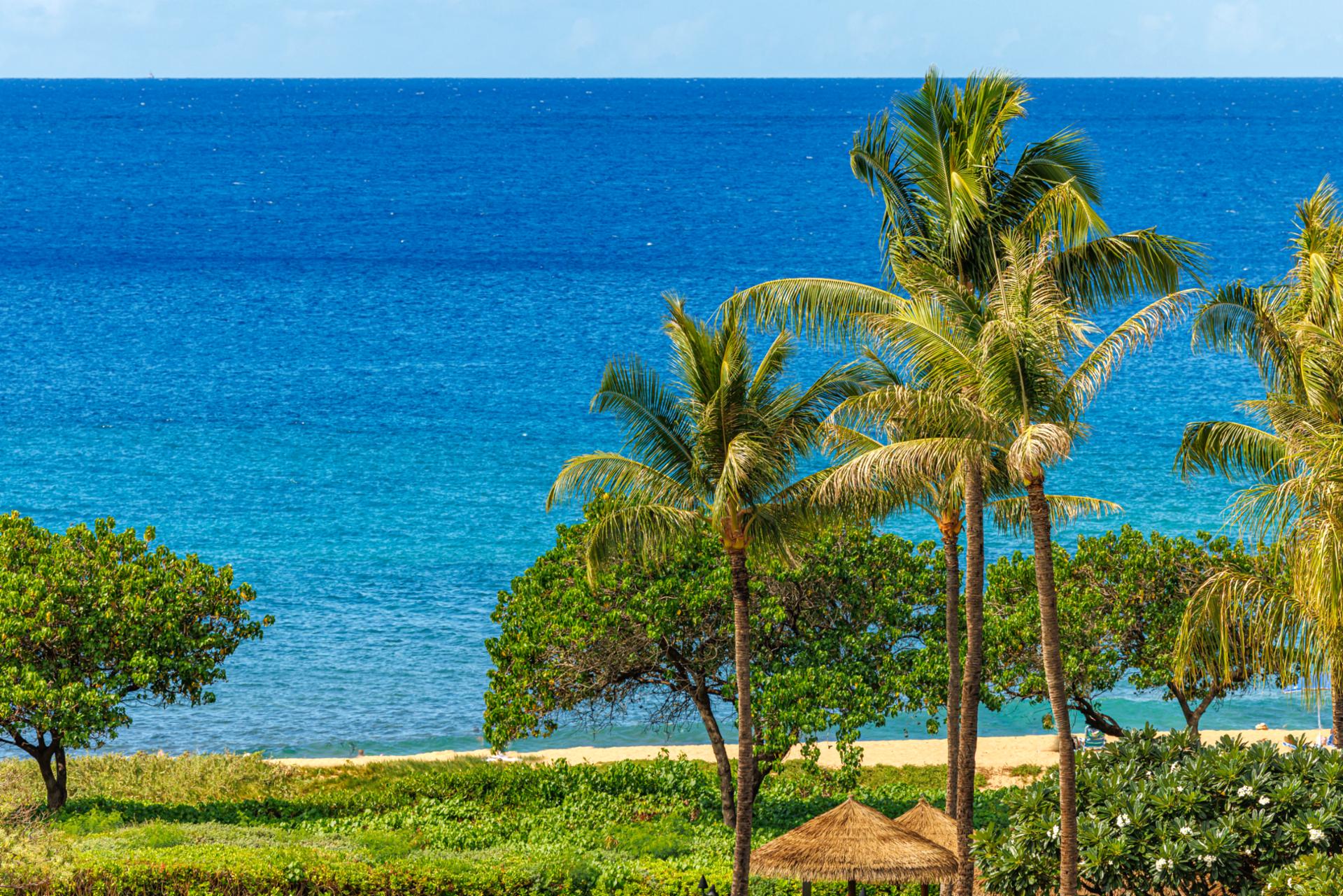 Take in panoramic ocean views framed by palms from your balcony at Honua Kai, perfect for morning coffee or sunset wine.