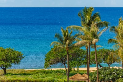Take in panoramic ocean views framed by palms from your balcony at Honua Kai, perfect for morning coffee or sunset wine. HKH-529