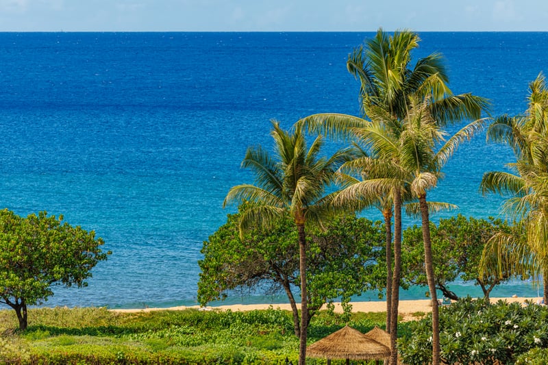 Take in panoramic ocean views framed by palms from your balcony at Honua Kai, perfect for morning coffee or sunset wine. HKH-529