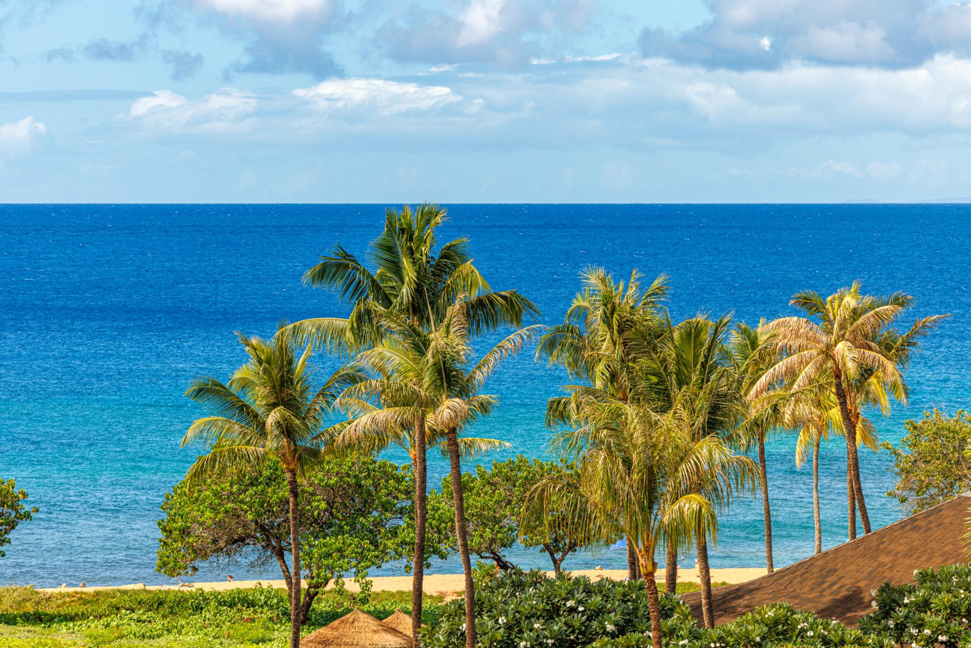 Enjoy a postcard-worthy view of Maui’s coastline and tropical greenery.