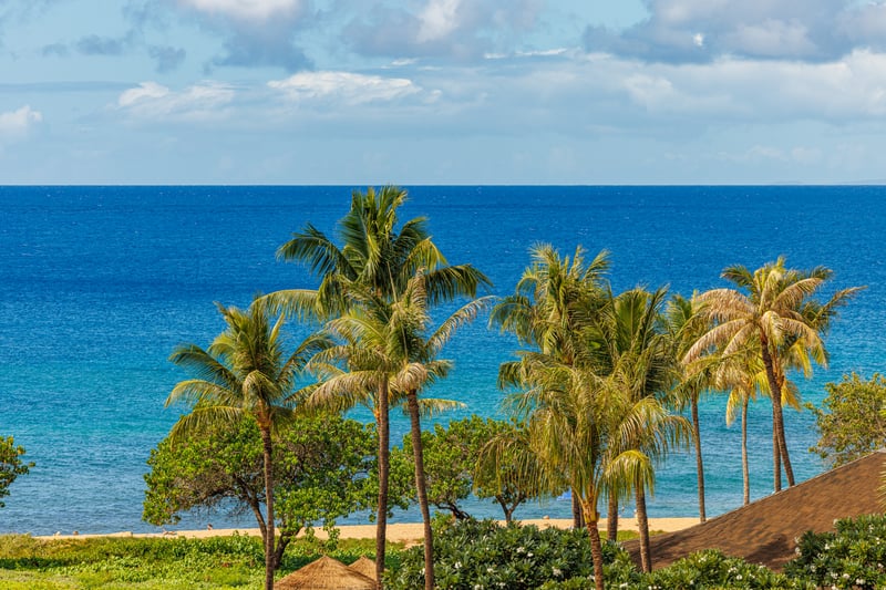 Enjoy a postcard-worthy view of Maui’s coastline and tropical greenery. HKH-529