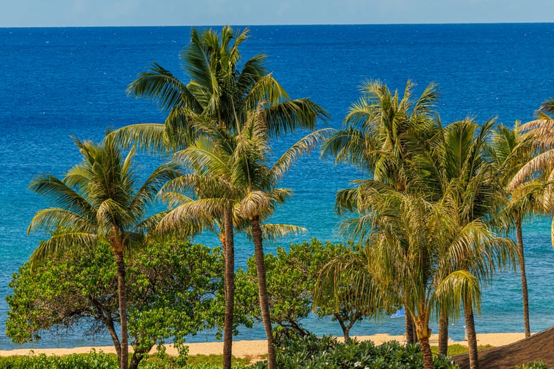 Let the gentle sound of the ocean and views of swaying palms set the tone for your island stay. HKH-529