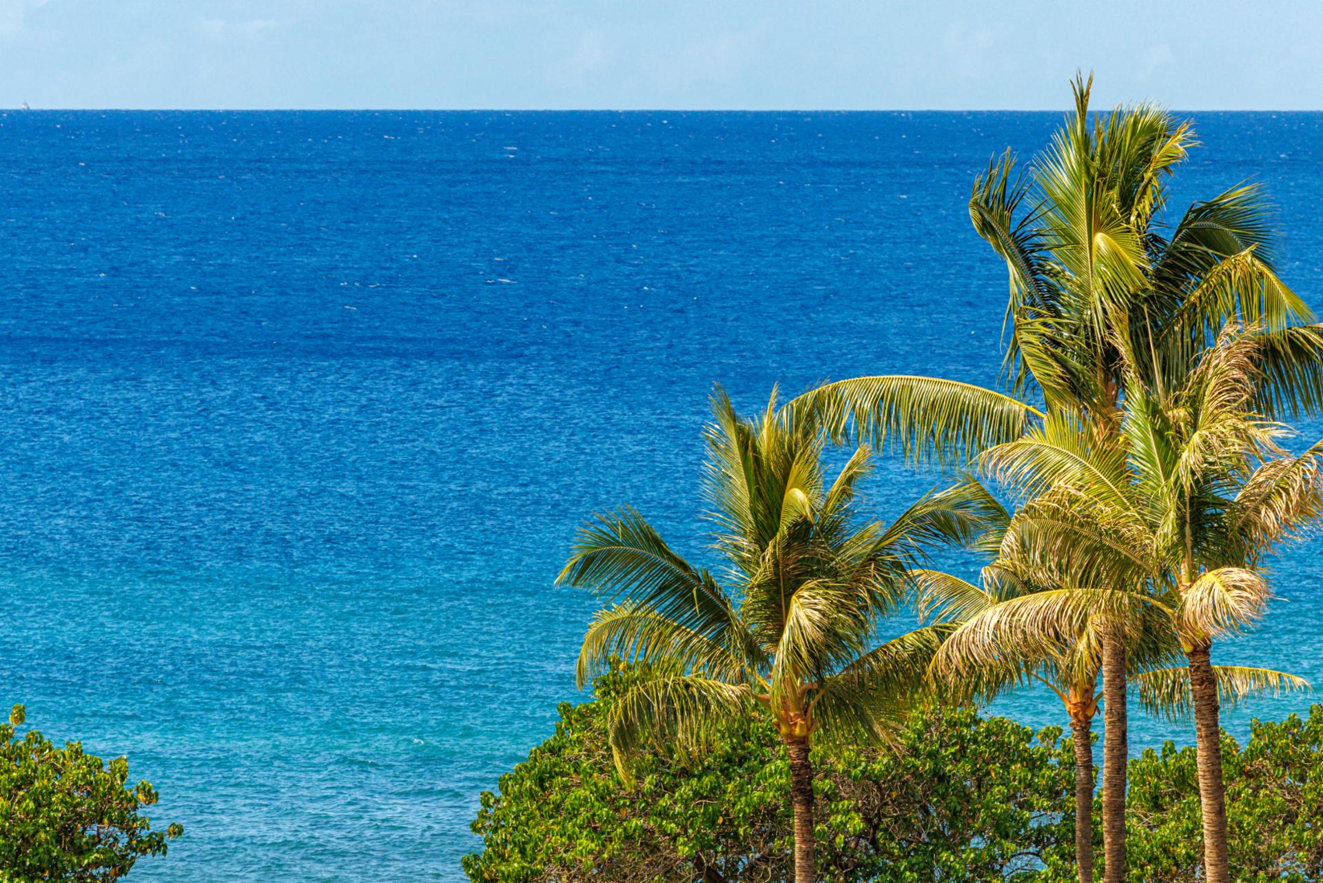 Gaze out over lush palms and vibrant blue water from your elevated balcony perch.