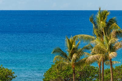 Gaze out over lush palms and vibrant blue water from your elevated balcony perch. HKH-529