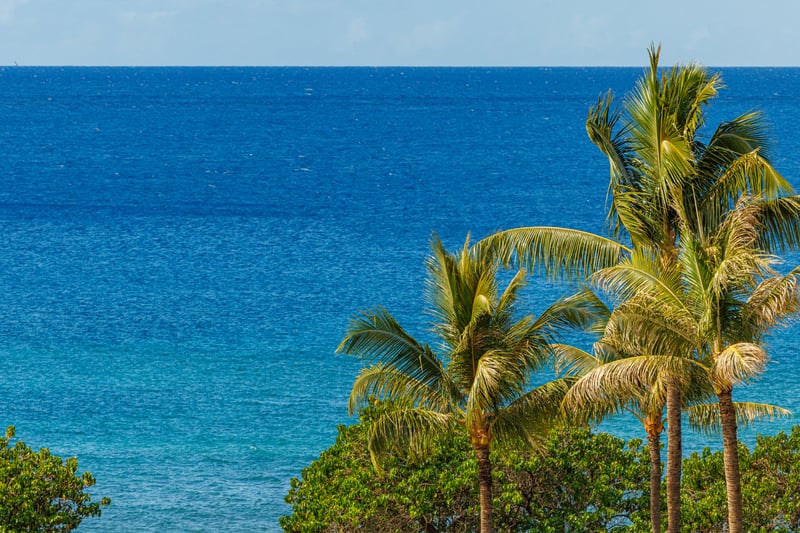 Gaze out over lush palms and vibrant blue water from your elevated balcony perch. HKH-529