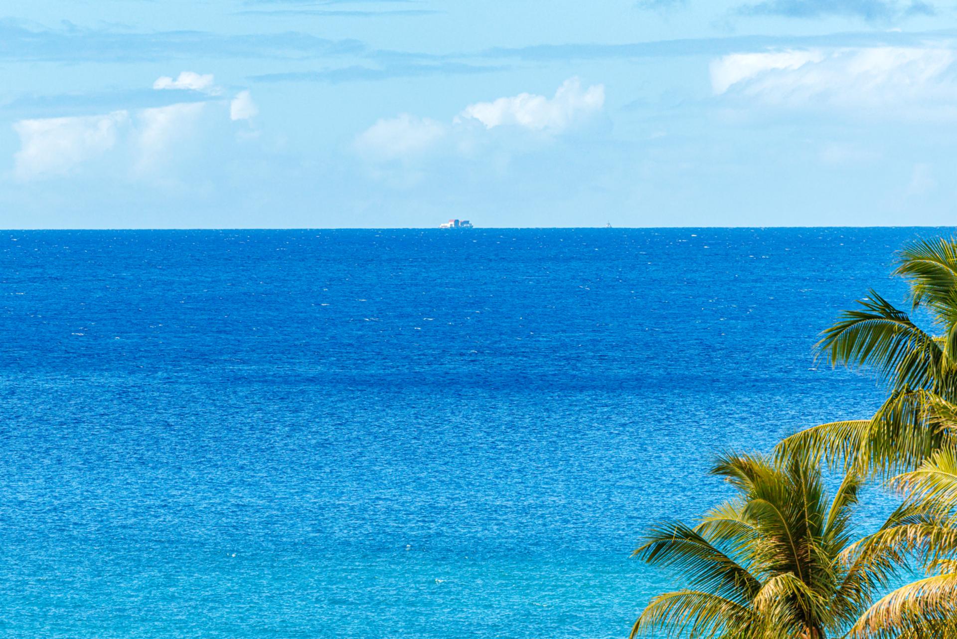 Take in endless Pacific blues from your private balcony, framed by swaying palms.