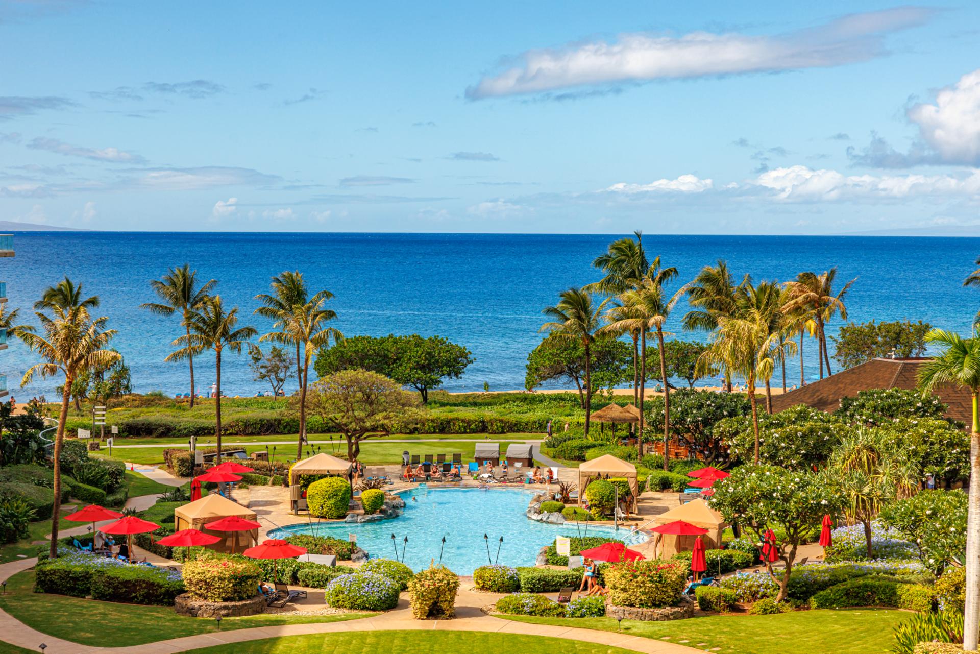 Gaze out over lush tropical gardens and the sparkling resort pool with the ocean just beyond.