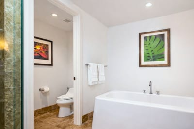 Separate water closet, tucked away for privacy. HKH-550