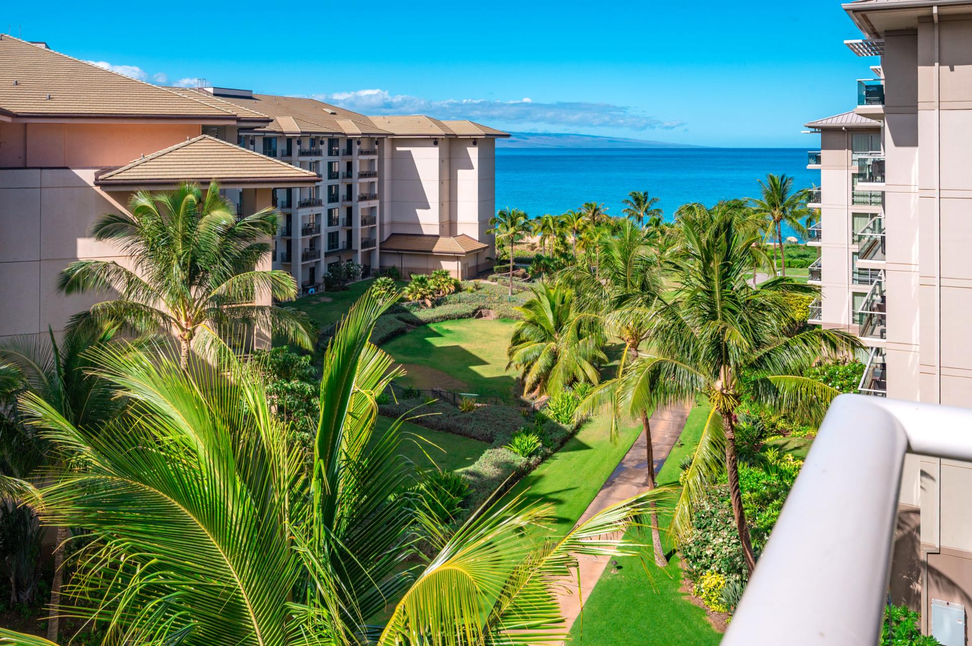 Surround yourself with Maui’s natural beauty — tropical gardens, swaying palms, and ocean blues.