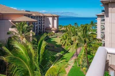 Surround yourself with Maui’s natural beauty — tropical gardens, swaying palms, and ocean blues.