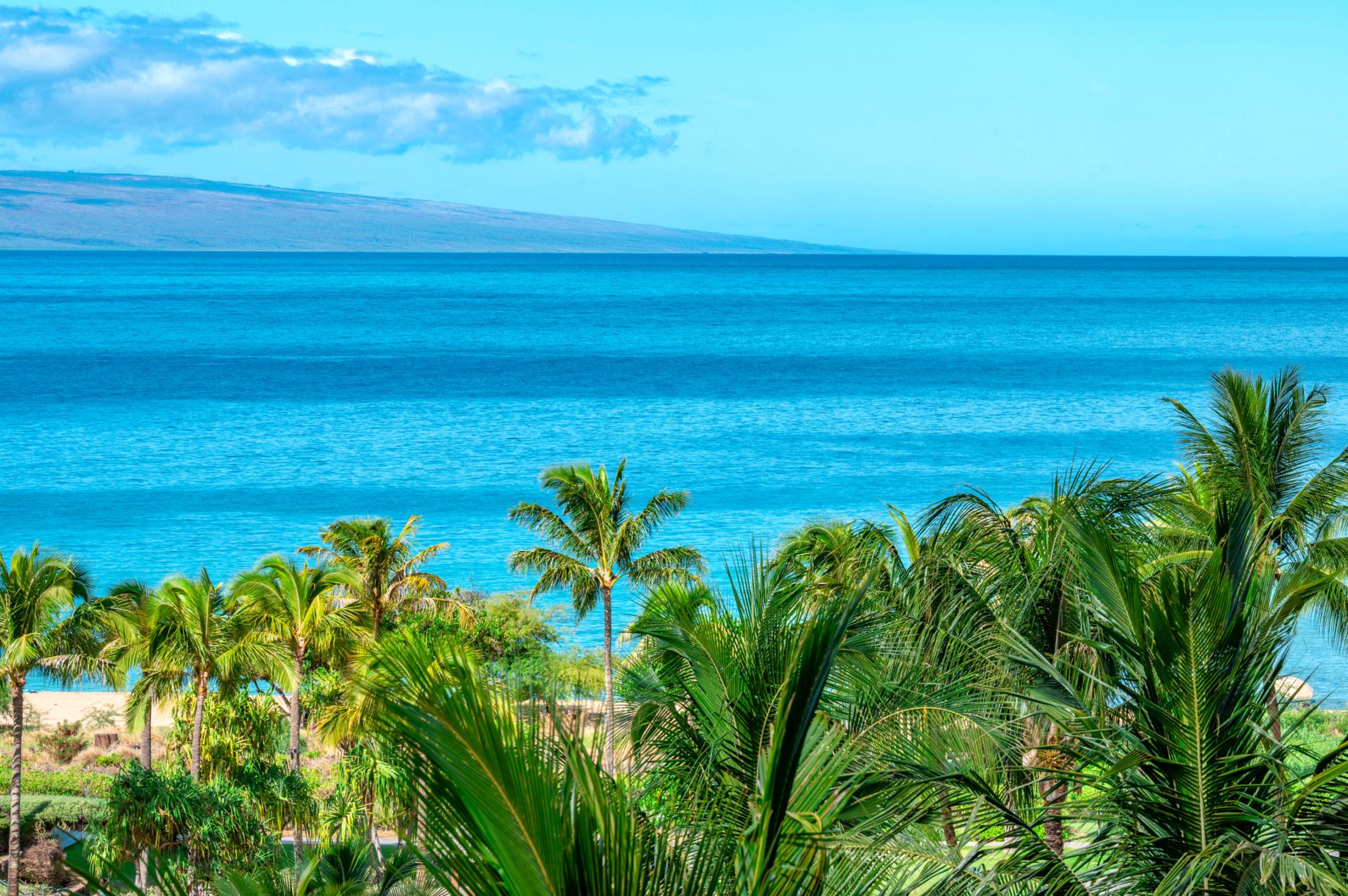 Tropical Escape: Lush Palms, Turquoise Sea, and Island Serenity.