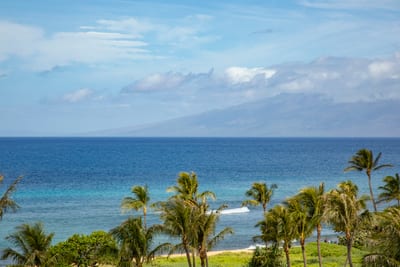 Palm trees sway beside turquoise waves under a mountain backdrop.