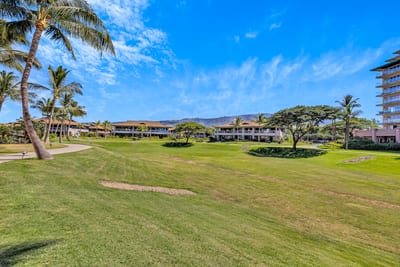 Expansive resort grounds with palm trees, mountain backdrop, and sunshine.