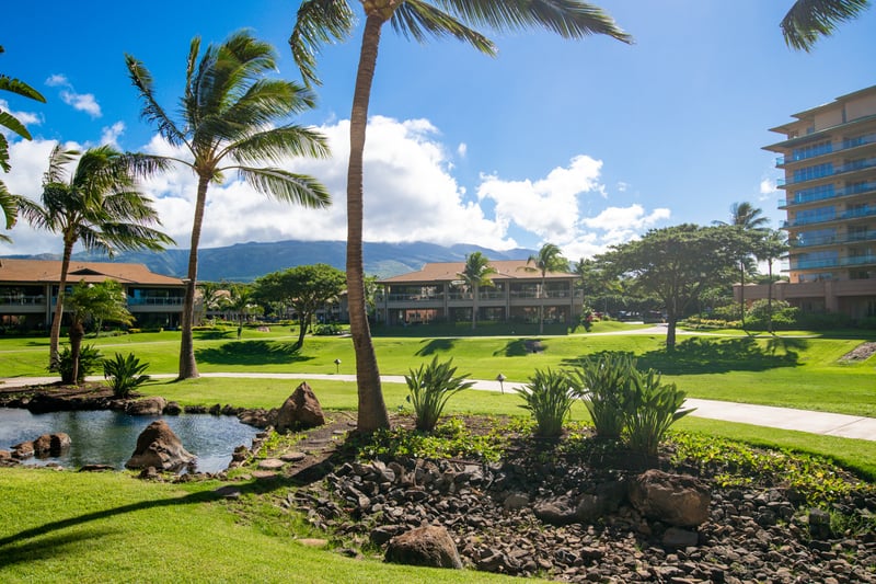 Tropical paradise with lush lawns, palm trees, and mountain views. HKK-108