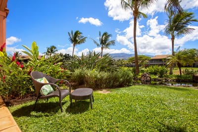 Relax under palm trees with mountain views and tropical breeze.