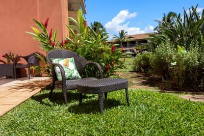 Peaceful garden seating surrounded by lush greenery and tropical flowers.
