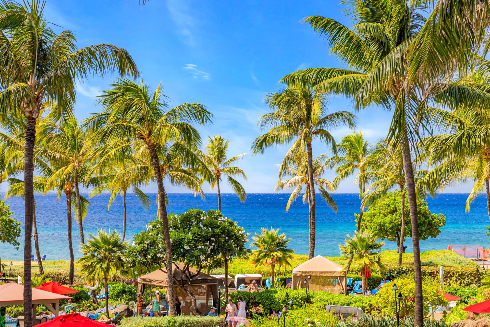Bold blue ocean views and sunny skies are yours to take in from the resort grounds.