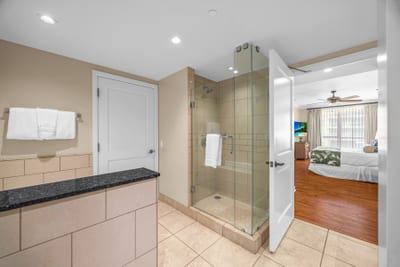 Bright guest bath with modern finishes